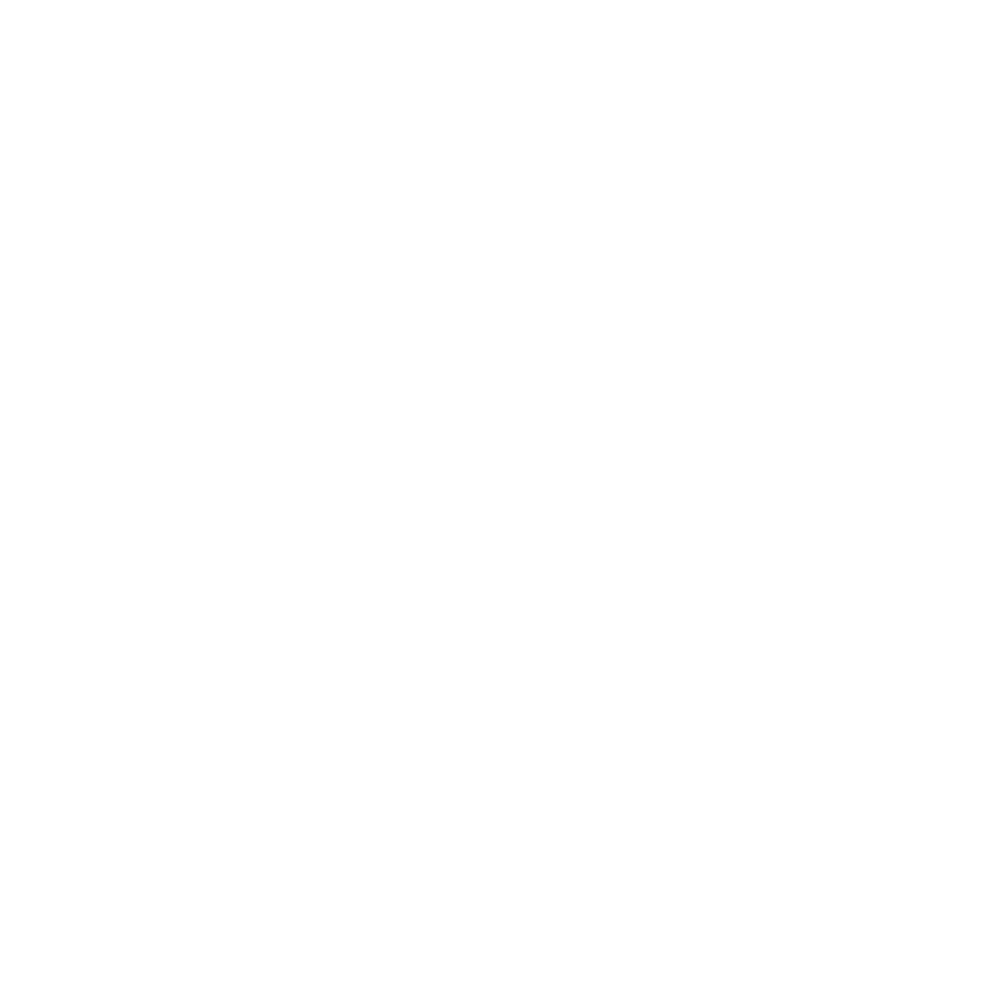 Emplifi logo (white) - Transparent